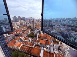 City Square Residences (D8), Condominium #543575661